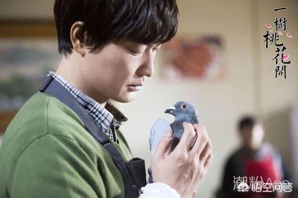 电视剧《一树桃花开》，相比盛开，为啥狄英最后能治服罗耀辉母？