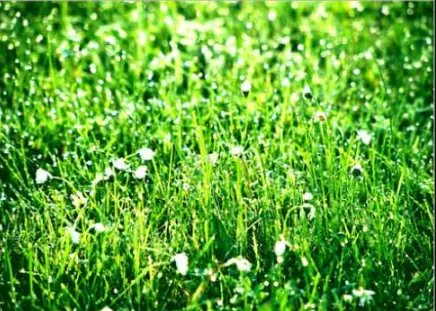 和春天有关的歌