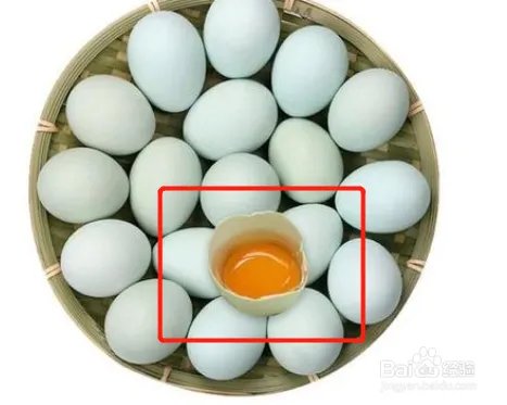 绿皮鸡蛋和普通鸡蛋有什么区别