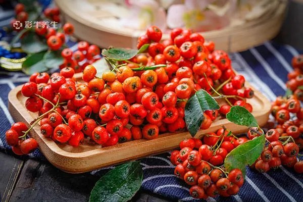 沙棘油的作用与功效