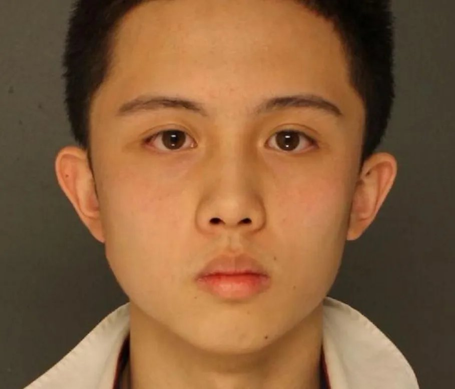 台女星狄莺儿子为何在美被捕？