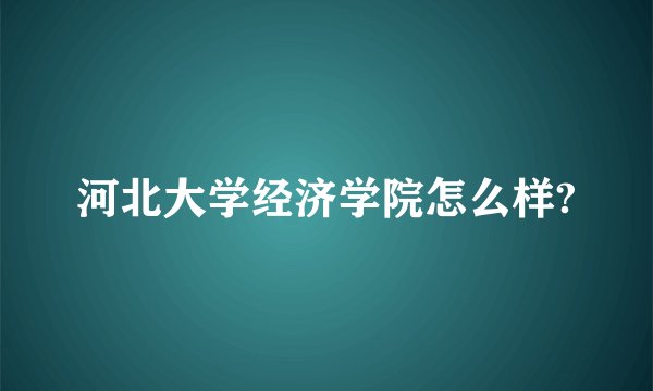 河北大学经济学院怎么样?