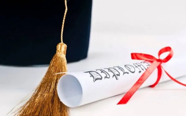 bachelor degree是什么学历