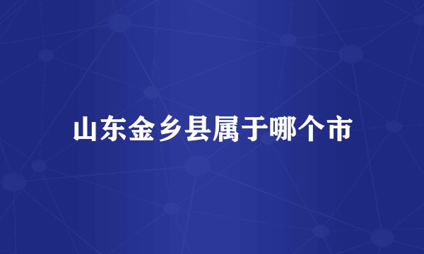 山东金乡县属于哪个市