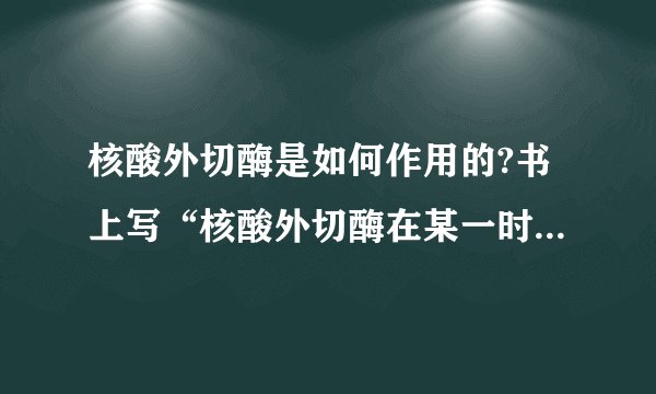 核酸外切酶是如何作用的?书上写“核酸外切酶在某一时间从分子的末端移走一个碱基,产生单核苷酸.”请问各位大虾,这是如何理解