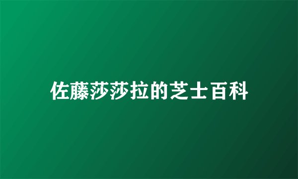 佐藤莎莎拉的芝士百科