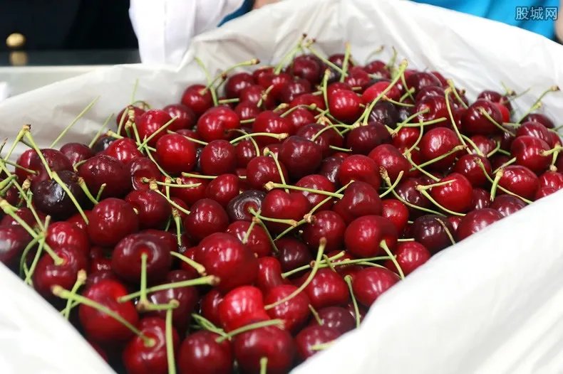 车厘子价格多少钱一斤 今年价格行情分析