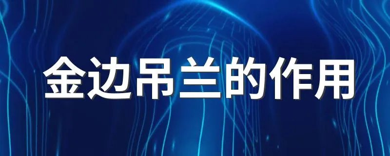 金边吊兰的作用 金边吊兰有什么作用