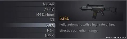 COD4:武器 突击步枪详解