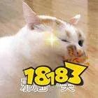 邪魅狂狷什么意思 邪魅狂狷的一笑