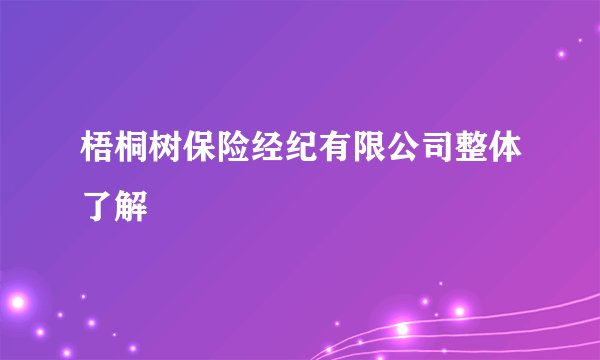 梧桐树保险经纪有限公司整体了解