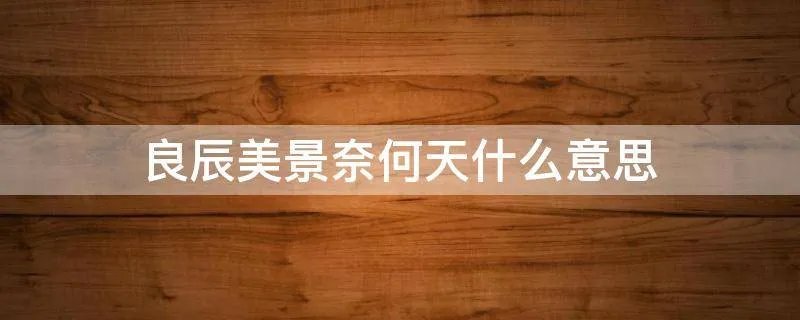 良辰美景奈何天什么意思