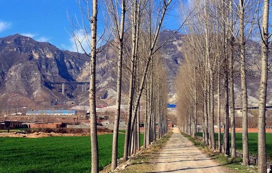 济源旅游景点大全排名，哪些值得去？