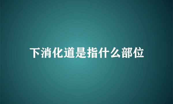 下消化道是指什么部位