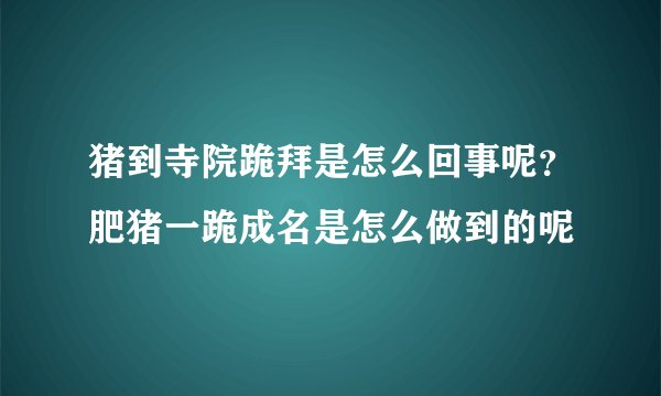 猪到寺院跪拜是怎么回事呢？肥猪一跪成名是怎么做到的呢