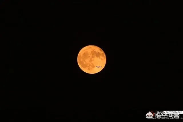 你曾拍过或者见过的最美的月亮是什么样的?
