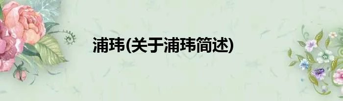 浦玮(关于浦玮简述)