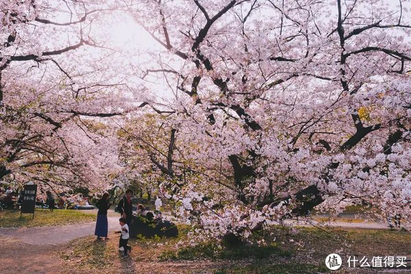 漫谈M43 篇一：M43画幅相机？这个相机体系有什么优劣？有图有真相！