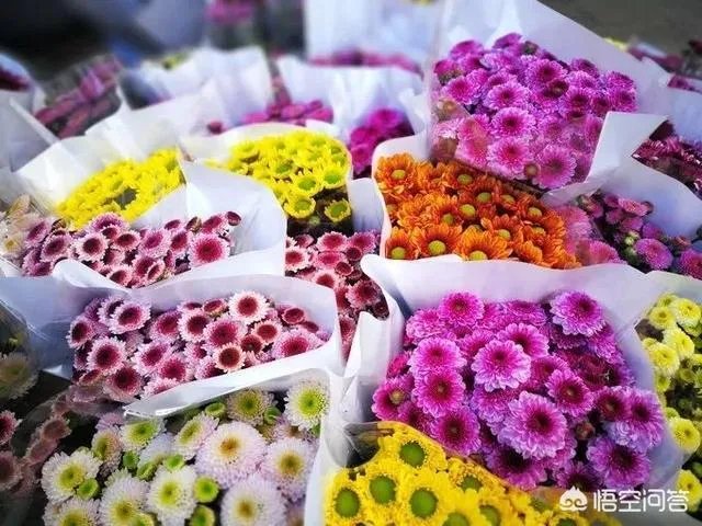 云南有哪些大的鲜花市场？