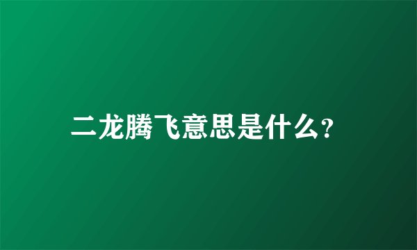 二龙腾飞意思是什么？