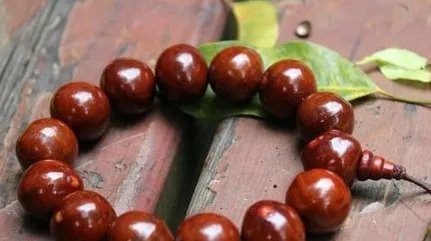 菩提子的种类及各种形态和功效