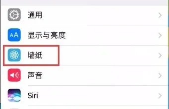 苹果xr桌面壁纸