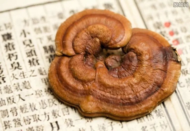 西安肉灵芝事件 看完内容真是让人捧腹大笑