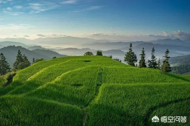 岜沙在哪里?岜沙好玩吗?