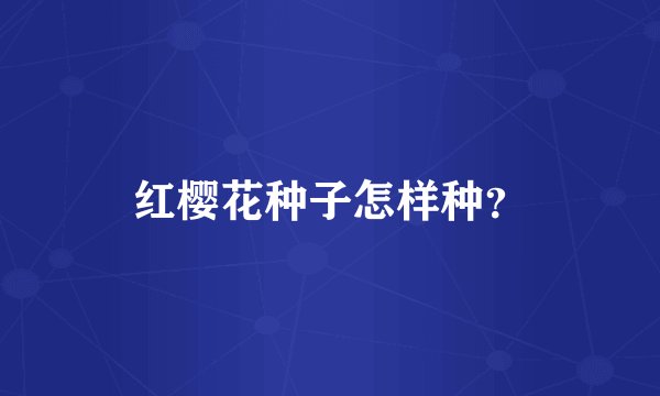 红樱花种子怎样种？