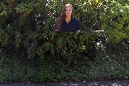 淘宝有量子隐身衣买吗 量子隐身衣是什么原理