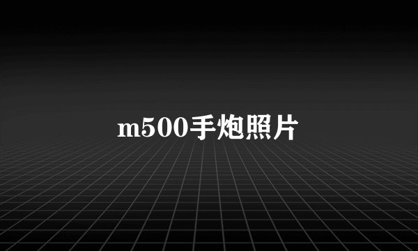 m500手炮照片