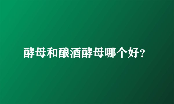 酵母和酿酒酵母哪个好？