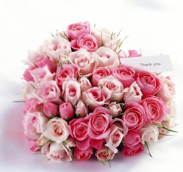 33朵玫瑰花的含义