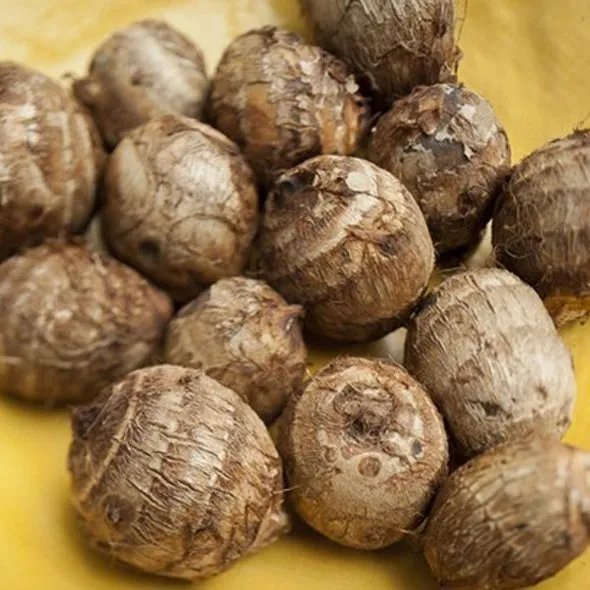 芋头粥的功效与作用是什么?如何才能做好芋头粥?