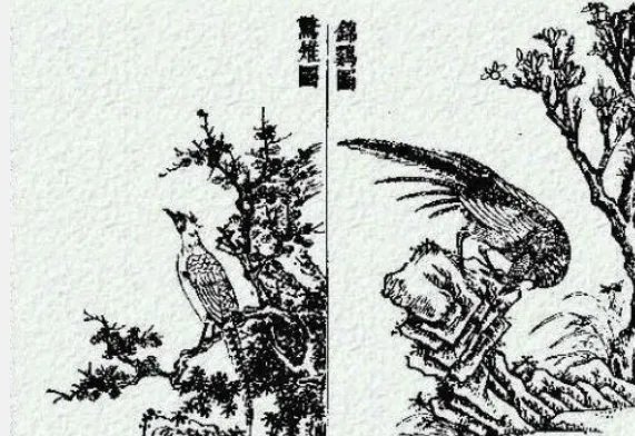 楚人有担山鸡者文言文翻译是什么？