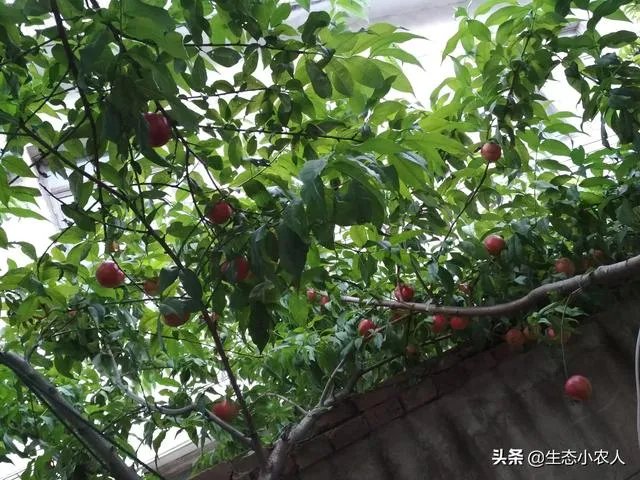 农产品批发市场对管理人员应该怎样?