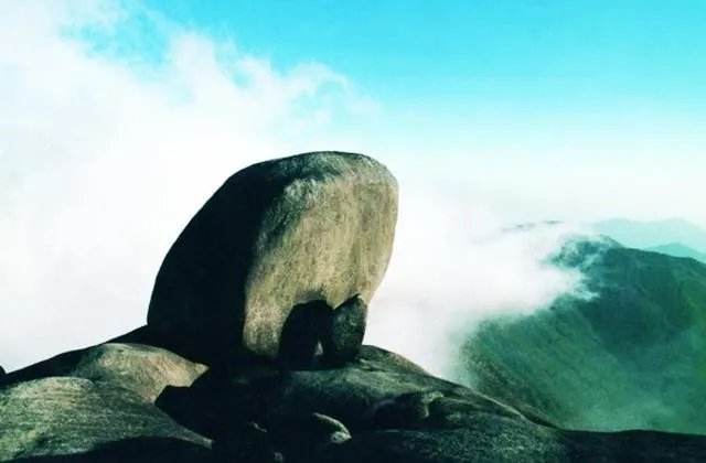 福建7地入选“中国森林氧吧”，分别是哪7个？