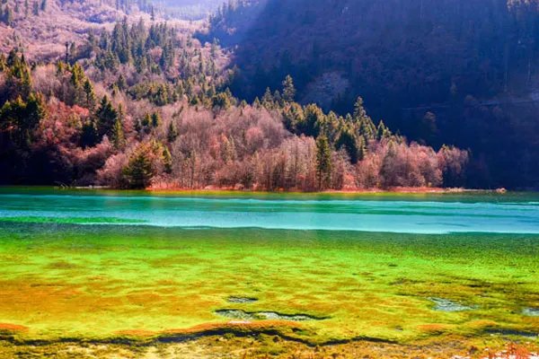 四川九寨沟旅游攻略 九寨沟旅游攻略