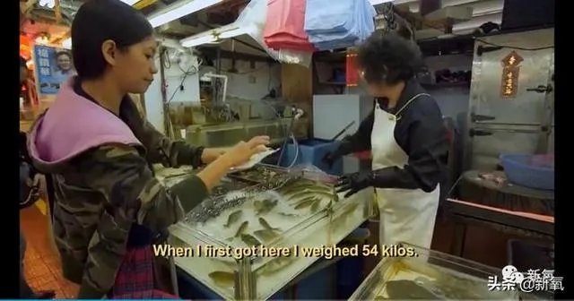 有哪些比较好看的纪录片?