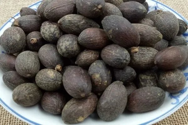 葵树子的功效与作用