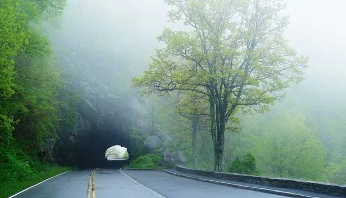六盘山隧道 六盘山隧道简介