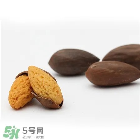 香榧是什么?香榧子有什么价值