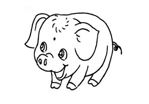 十二生肖婚配宜忌注意事项 2017十二生肖婚姻配对大全