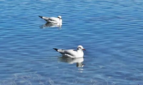 丽江旅游景点排名前十名