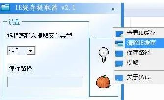 ie缓存文件提取器