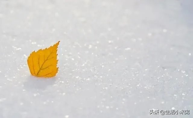 罗永浩老人与海发布会看了吗，对Sharklet抗菌印象如何？