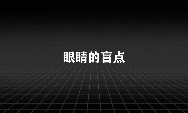 眼睛的盲点