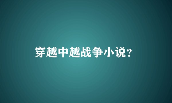 穿越中越战争小说？