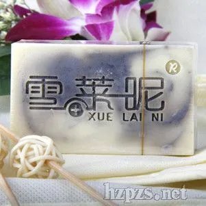 雪莱昵的品牌介绍