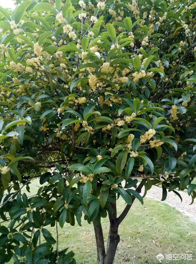 江西中医药大学穷吗